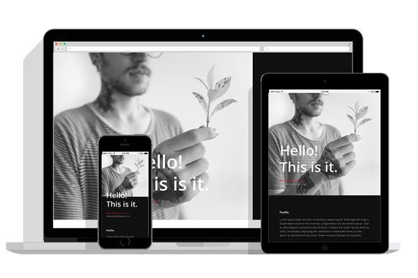 WordPress Responsive Resume Theme Three