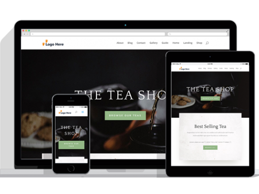 WordPress Responsive Shop Theme Two