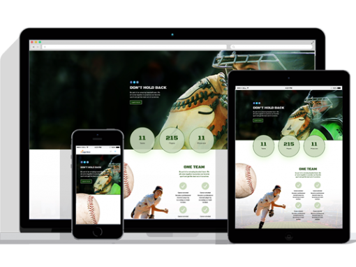 WordPress Responsive Sport Team Theme