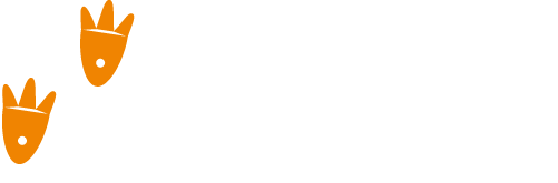Webbed Feet Inc. Logo White Text